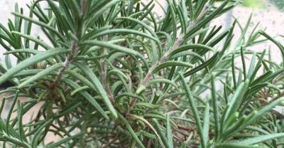 口腔种植器械维护