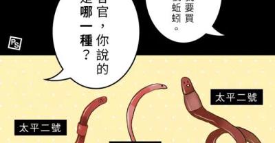 浅析鲤鱼养殖现状及对策