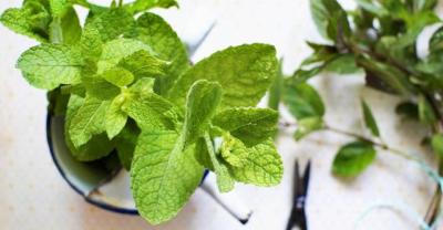 假牙种植价格大概是多少？