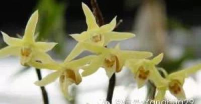 科学养殖有门道，养鱼先养水！