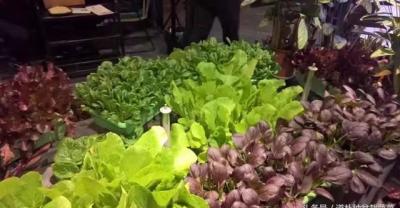 这样的水果、蔬菜可以放心的吃