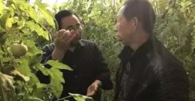 香瓜的种植管理技术