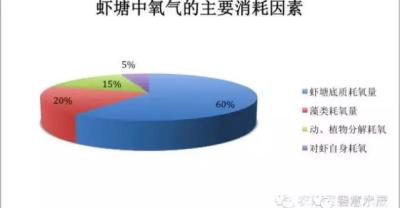 养殖蜜蜂如何喂水