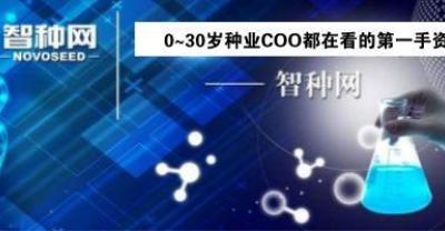 花卉的种植方法及繁殖——满天星