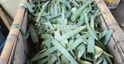 王者农药：最能守塔的上单英雄之一，但会玩使用的人确不多