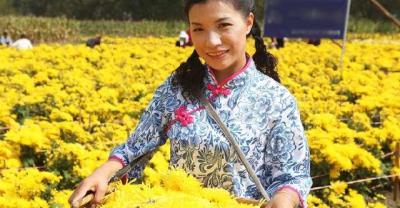 北瓜种植技术