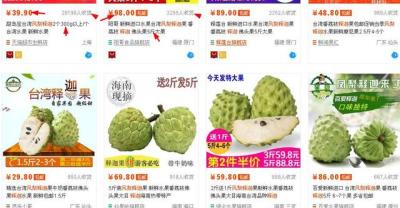 校园菜园：小白菜的种植方法