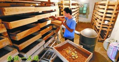 最常见的海鲜原来都是这样养殖，摄影纪实福建海滩生蚝养殖