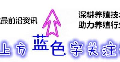 多肉钱串子的养殖方法和注意事项，多肉钱串子的繁殖方法的修剪方法
