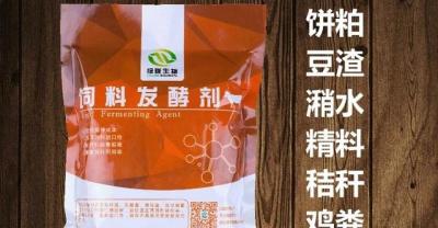 彩叶草（五色草）的生长习性及养殖注意事项