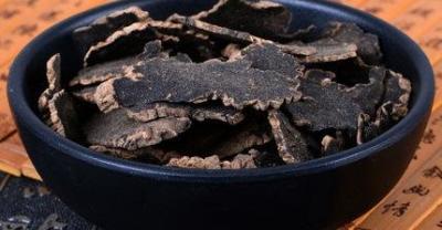 茶花苗种植技术、盆栽方法
