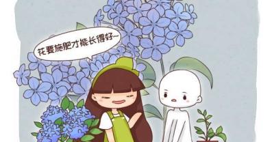 养花技巧：金边吊兰叶子发黄，4个简单小方法，帮你解决现状！