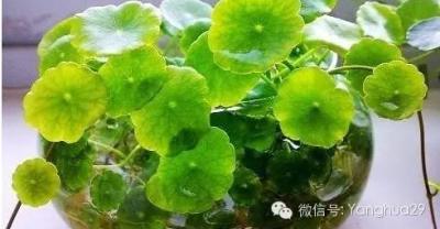 水产养殖你可得想清楚了
