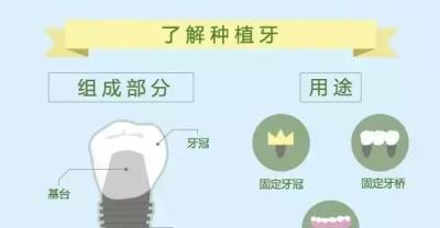 扁豆品种选择和种植技术的要点