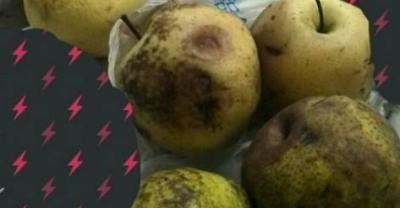一木养花秘籍第6期：仙客来这么养才能爆盆花繁