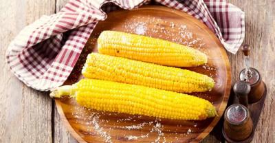 鱼类养殖方法《常见的淡水观赏鱼》蓝早尾
