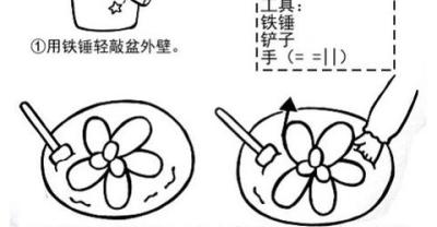 种植多肉新手入门知识点总结