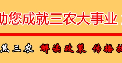 农村懒汉种植荷兰豆，让媳妇哈哈大笑