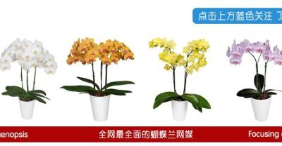 乳酸菌不能阻断水产养殖中弧菌的生长繁殖