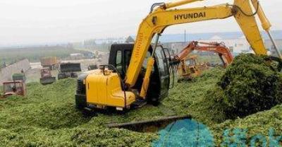 “中医养殖”用中医的角度谈滑液囊支原体