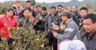 深圳种植牙大概需要多少钱？