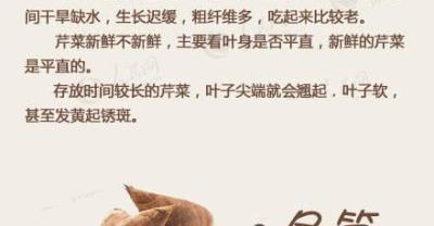 这9种蔬菜没煮熟千万别吃，有危险！