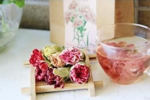 康乃馨有毒吗 康乃馨花茶的功效