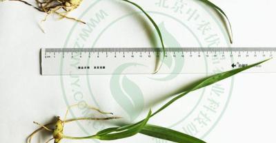 五颜六色的五彩椒，能看好吃的盆栽观赏蔬菜