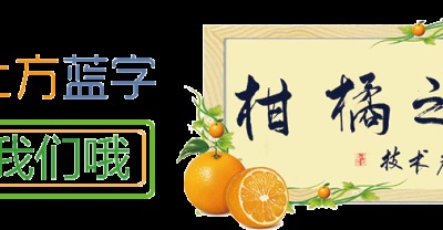12月份，柑橘种植，冬肥应该这样施