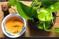 水仙茶是什么茶 水仙茶怎么冲泡