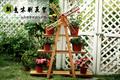 室内创意木制花架设计 小改变带来的大不同