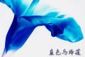 蓝色马蹄莲的花语是什么