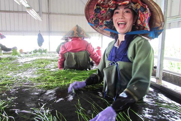 农业外籍移工确定开放！农业外劳外展、印尼青农实习、乳牛饲育三计划，七月上路