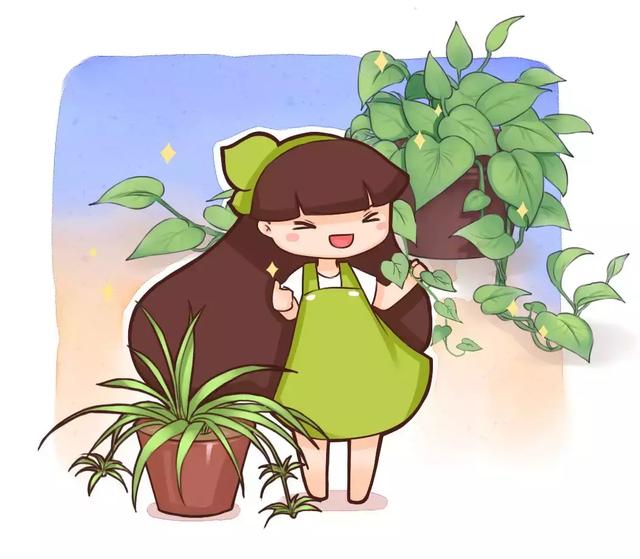 铜钱草长冬天怎么养