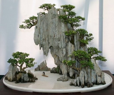 运用散点石布局制作山水盆景时的注意事项