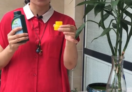 水培富贵竹怎么施肥？这些技巧要掌握