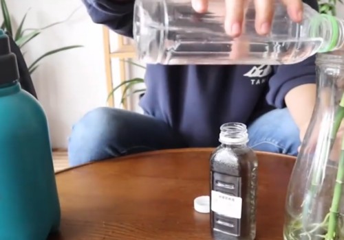 水培富贵竹施肥的正确方法