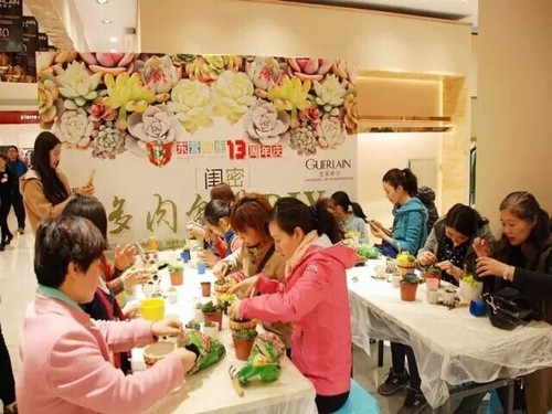 闺蜜多肉盆景创意DIY 盆栽DIY自制方法图解