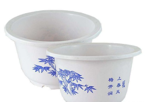 放在室内摆放好不好 用瓷盆养桂花好吗