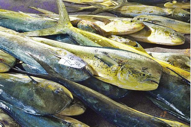 徐承堉／台湾鬼头刀，被美国FishChoice列为“应避免食用”鱼种？不公平但如何面对？