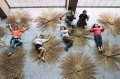 新北湿地艺术季“交融”11/9开幕音乐会热闹登场