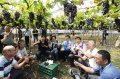 彰化县长王惠美关心彰化优鲜早春葡萄生产情形