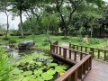 屏东县产业纾困休场业者展笑颜