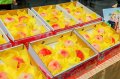 上山尝水蜜桃、品高山茶！梨山“森”活节7/31登场