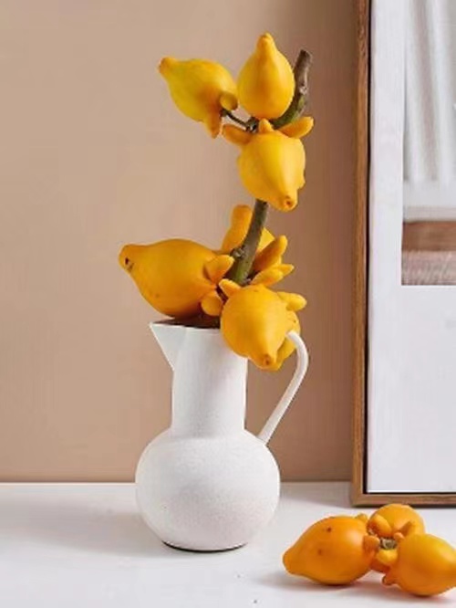 适合在家种植的五代同堂果有哪些品种？在家种植五代同堂果需要注意哪些病虫害？