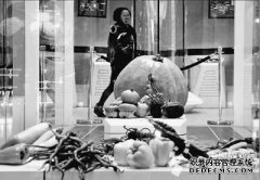 航天育种结“硕果”（图）
