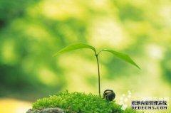 浙江：生物型种衣剂首创成功（图）