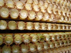 蜂王浆：中国蜂王浆产量高吗？如何提高蜂王浆的产量？