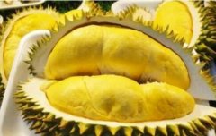 吃榴莲禁忌什么一起吃？榴莲一次吃多少合适可以多吃吗