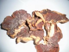 松露的功效与作用价格：松露多少钱一斤，松露吃起来是什么味道